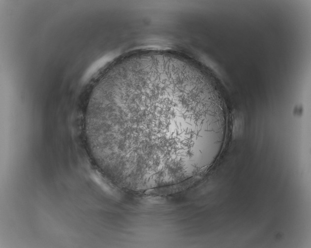X0000112881448200909181837