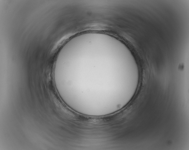 X0000112881451200909181837