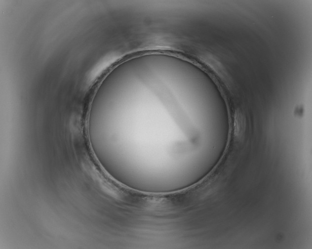 X0000112881452200909181837