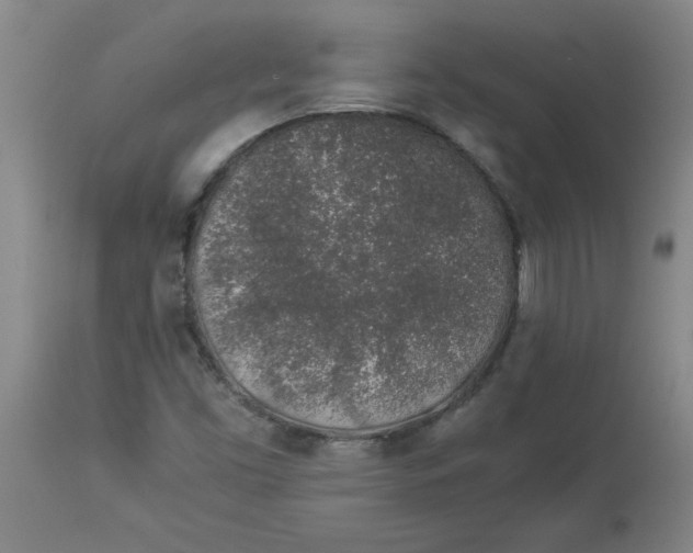 X0000112881453200909181837