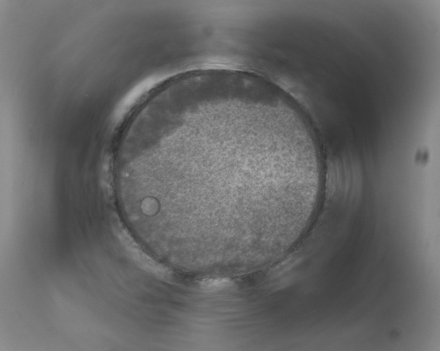 X0000112881454200909181837