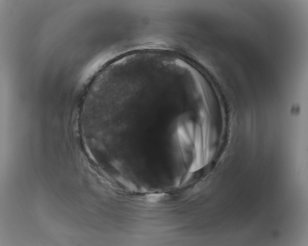 X0000112881455200909181837