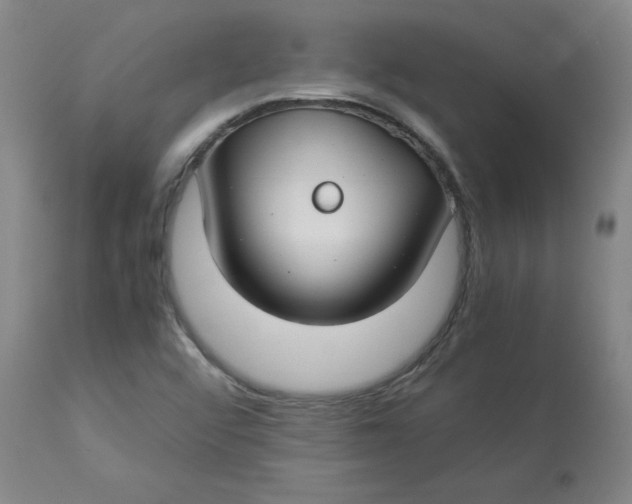 X0000112881456200909181837