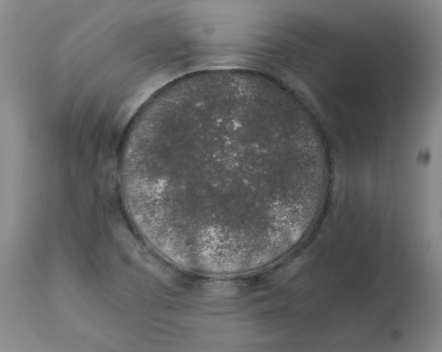 X0000112881457200909181837