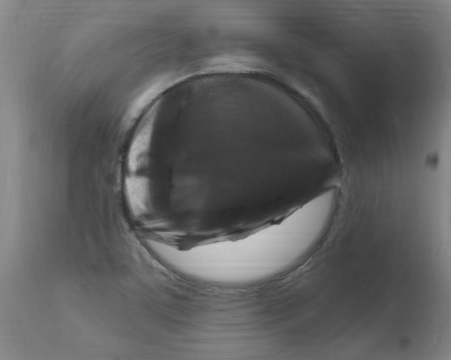 X0000112881459200909181837