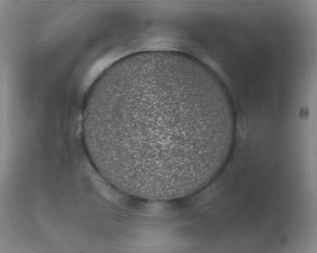 X0000112881461200909181837