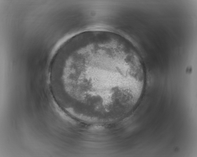 X0000112881462200909181837