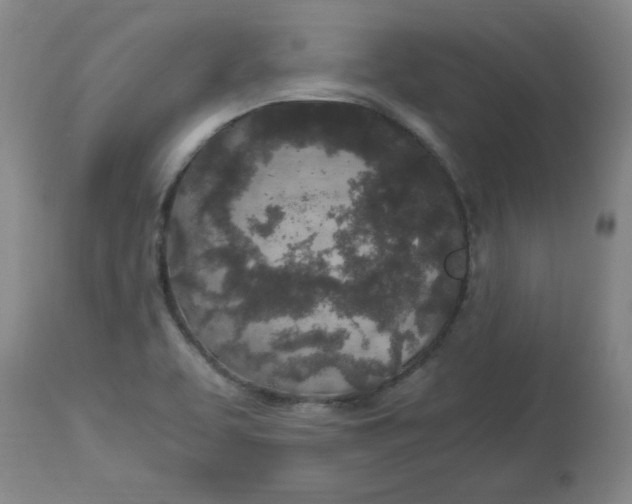 X0000112881463200909181837