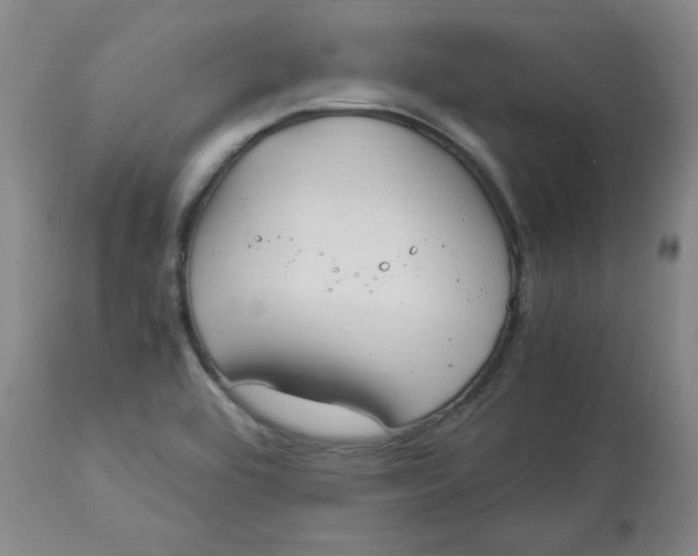 X0000112881464200909181837