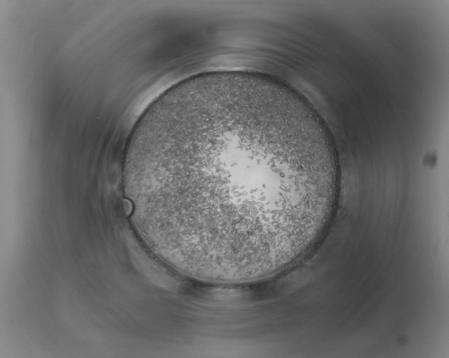 X0000112881465200909181837
