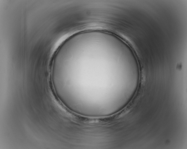 X0000112881467200909181837