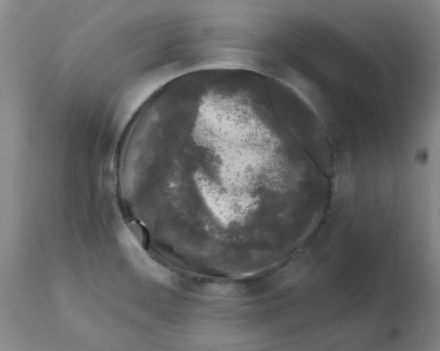 X0000112881468200909181837