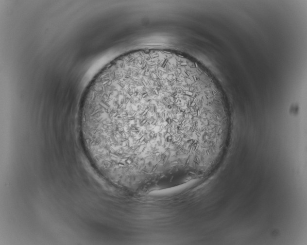 X0000112881469200909181837