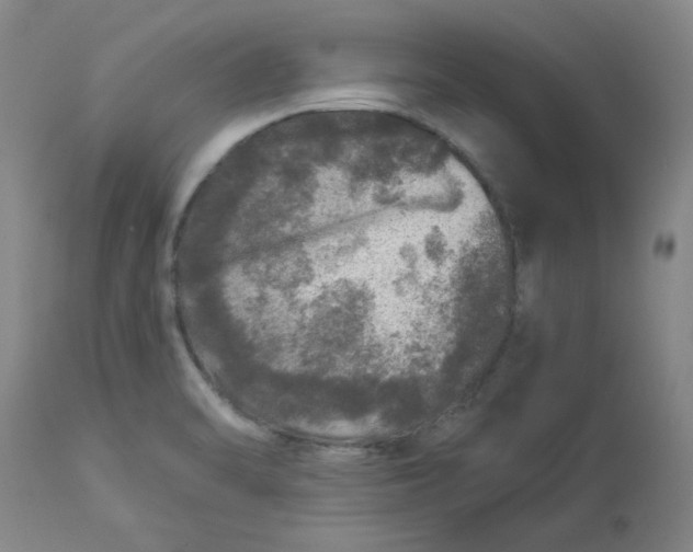 X0000112881470200909181837