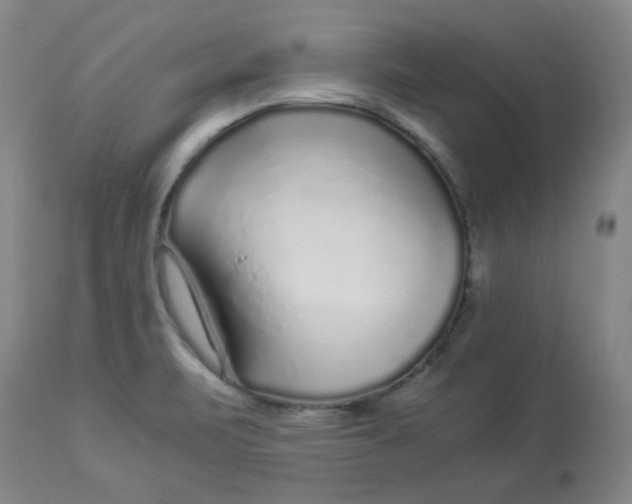 X0000112881471200909181837