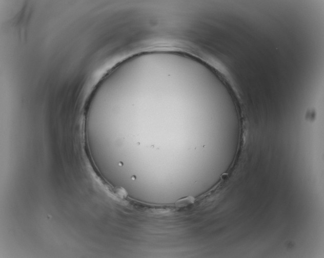 X0000112881472200909181837