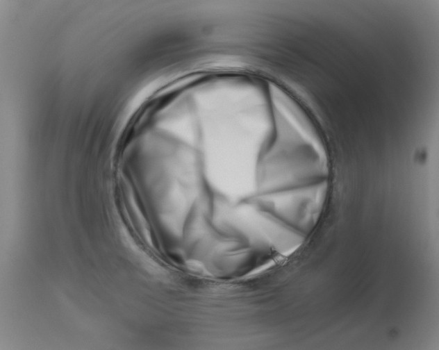 X0000112881475200909181837