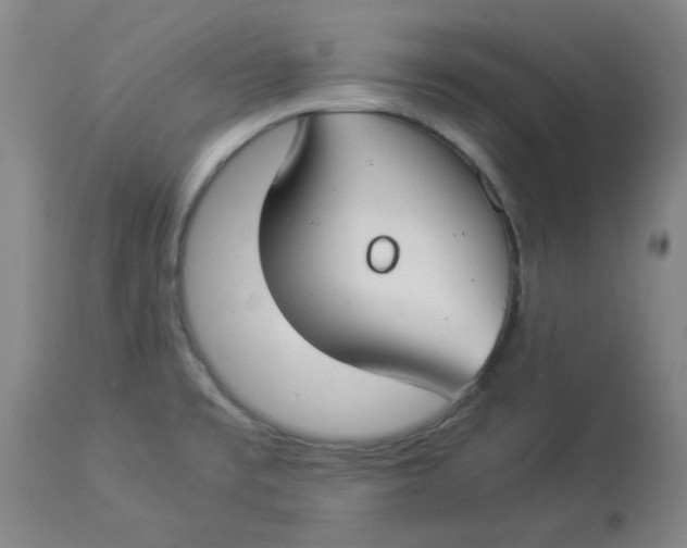 X0000112881477200909181837