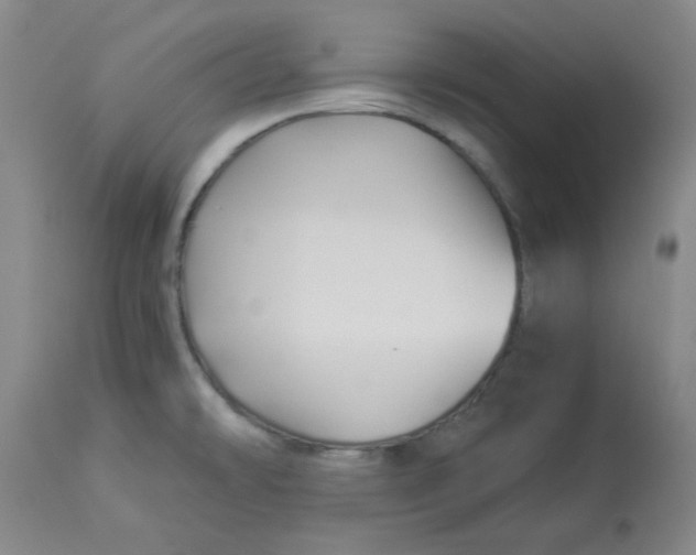 X0000112881478200909181836