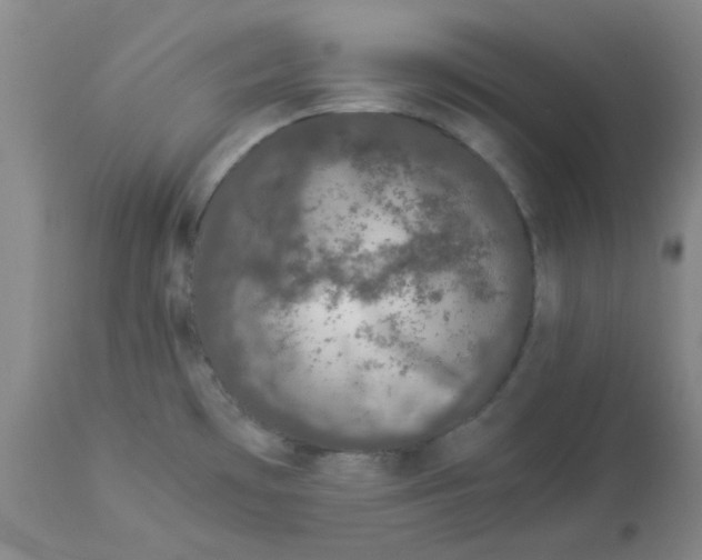 X0000112881481200909181836