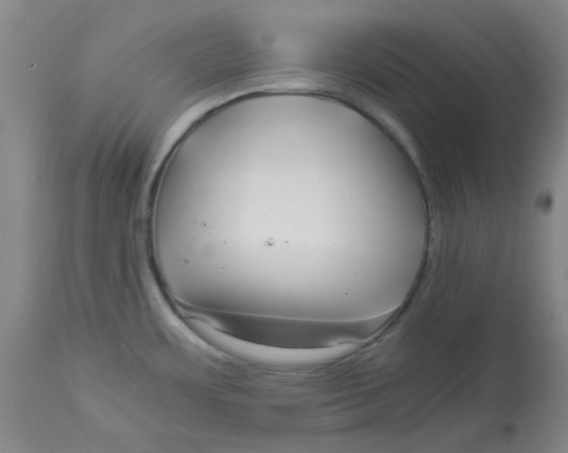 X0000112881483200909181836