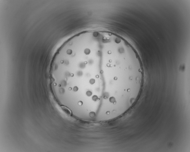 X0000112881485200909181836