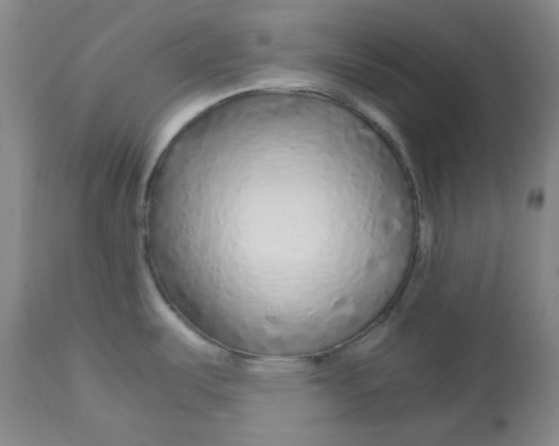 X0000112881487200909181836