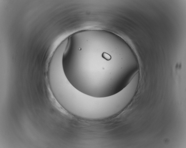 X0000112881488200909181836