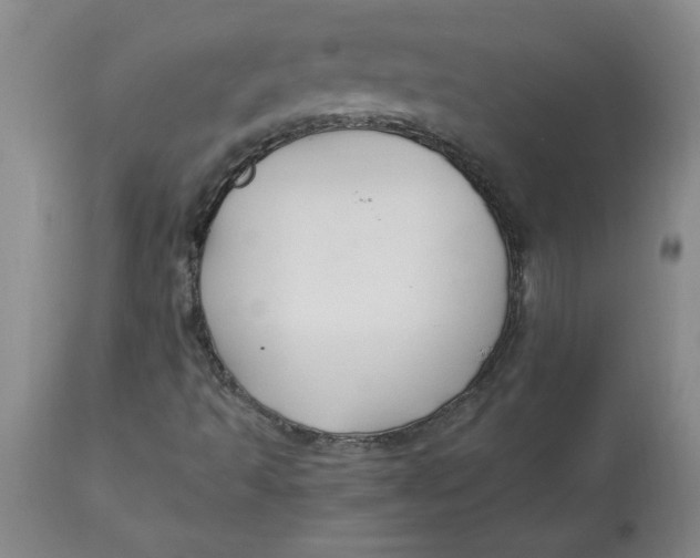 X0000112881493200909181836