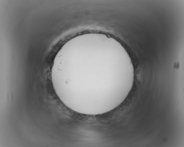 X0000112881495200909181836