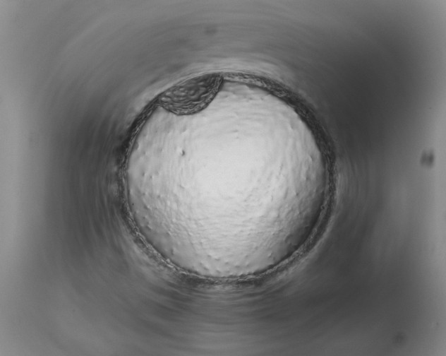 X0000112881497200909181836