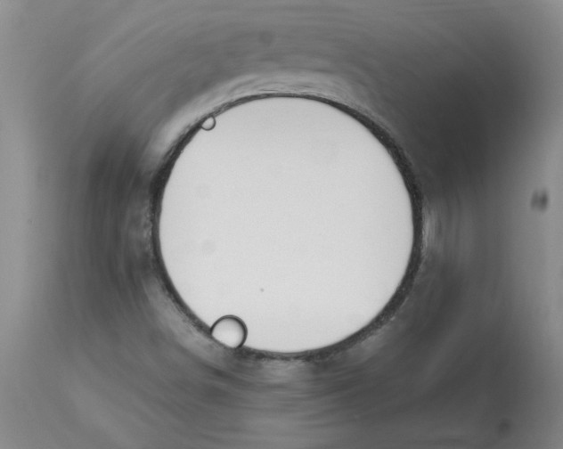 X0000112881498200909181836