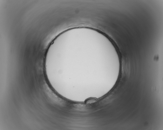 X0000112881500200909181836