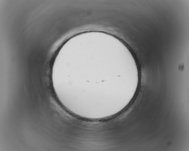 X0000112881502200909181836