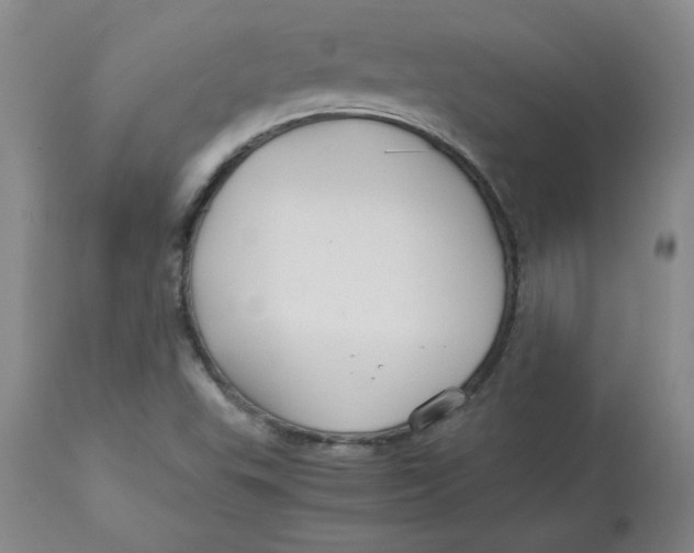 X0000112881503200909181836