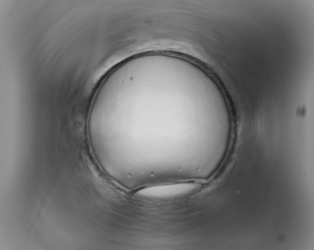 X0000112881505200909181836