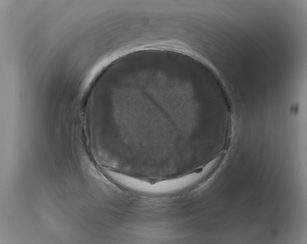 X0000112881506200909181836