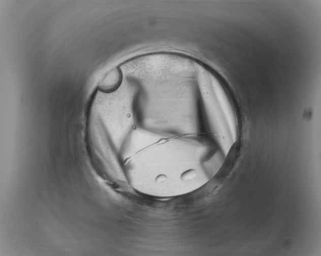 X0000112881508200909181836