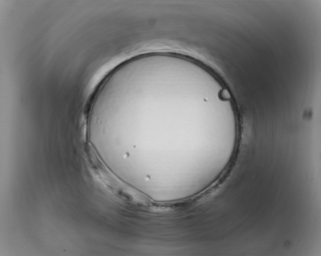 X0000112881509200909181836