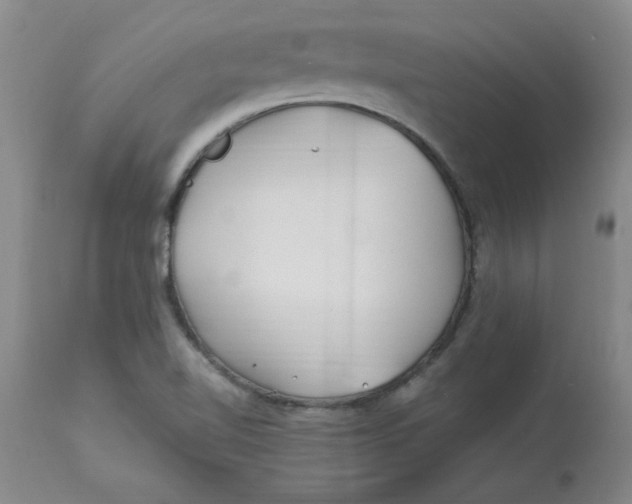 X0000112881510200909181836