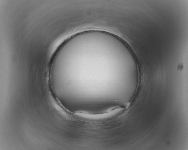 X0000112881511200909181836