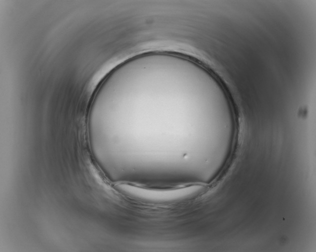 X0000112881513200909181836