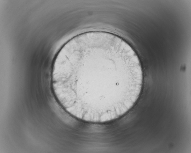 X0000112881514200909181836