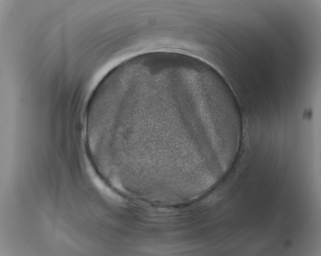 X0000112881515200909181836