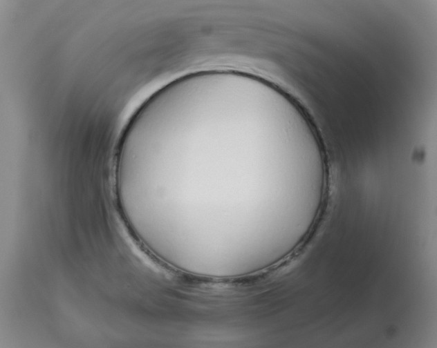 X0000112881517200909181836