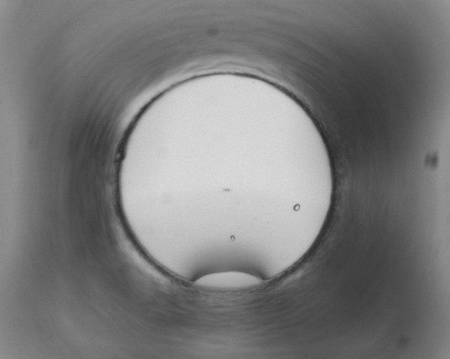 X0000112881518200909181836