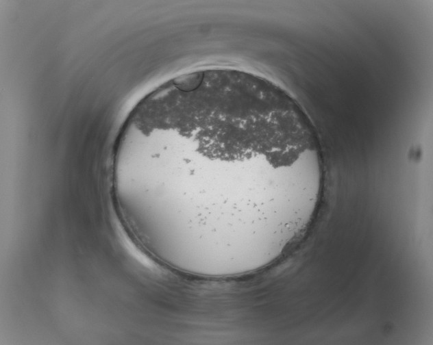 X0000112881519200909181836