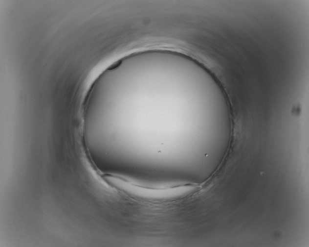 X0000112881520200909181836