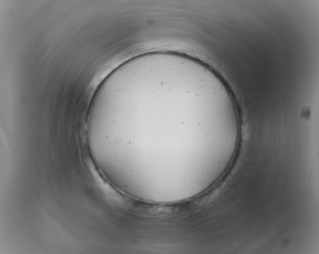 X0000112881521200909181836