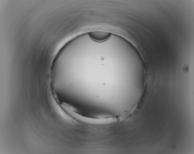 X0000112881523200909181836